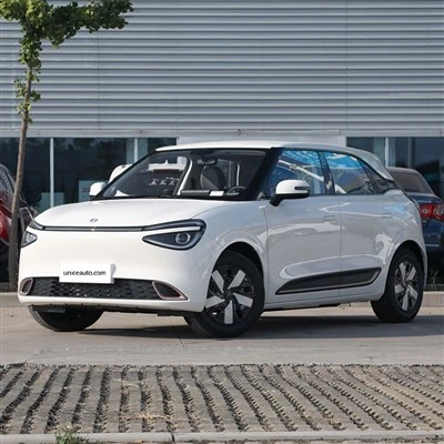 Dongfeng Nammi 01 2024